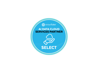 Snowflake Services Partner
