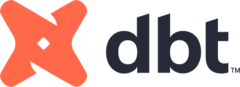 dbt Partner